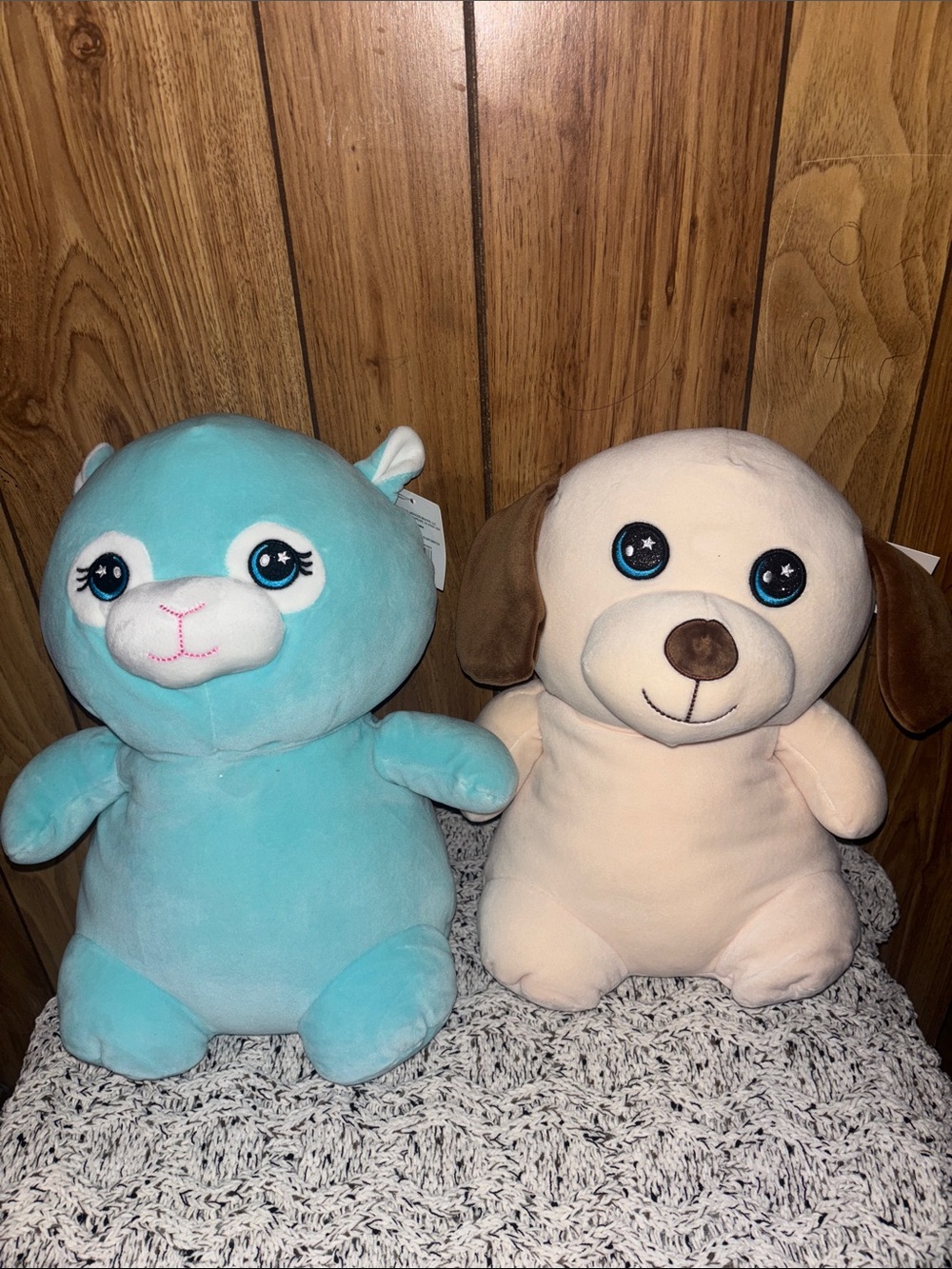 Aqua Plush Bear & Cream Puppy Duo - Soft Stuffed Animals